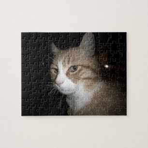 Puzzle Qu'est-ce que c'est ?