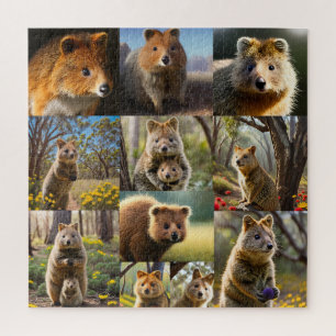 Puzzle "Quokka Chronicles : Un Collage De Photos Plein De