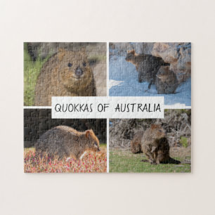 Puzzle Quokka d'Australie, 252 pièces