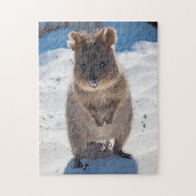 Puzzle Quokka sur la plage, 252 pièces (Vertical)