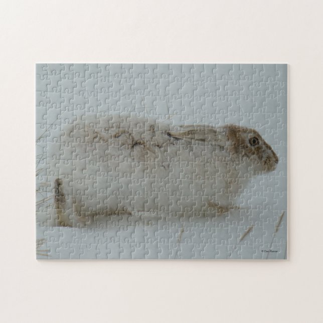 Puzzle R7 Lièvre de raquette prêt à courir (Horizontal)