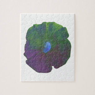 Puzzle Rainbow Petunia