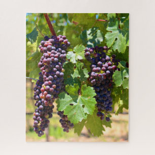 Puzzle Raisins