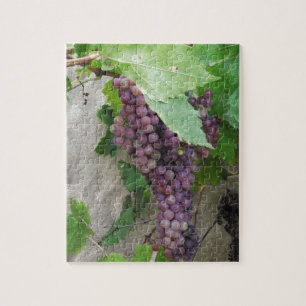 Puzzle Raisins pourpres sur la vigne
