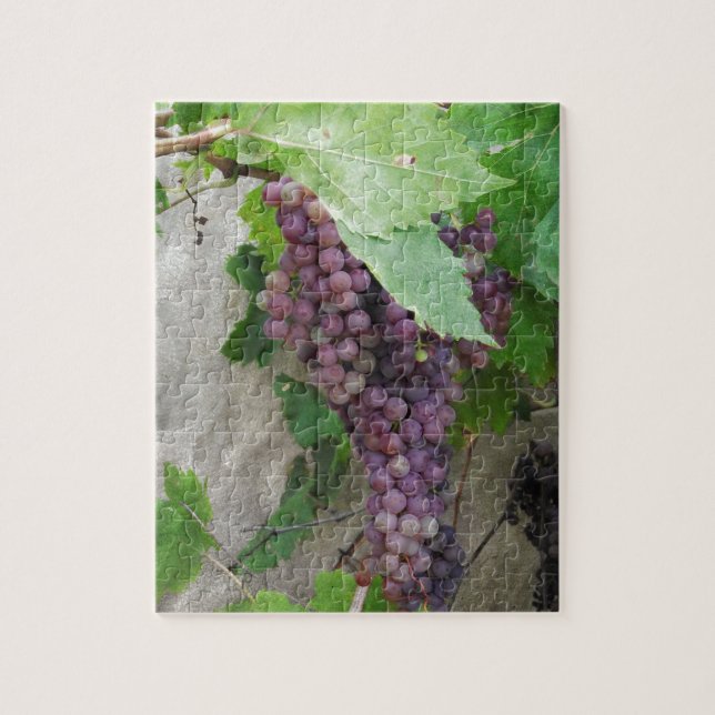 Puzzle Raisins pourpres sur la vigne (Vertical)