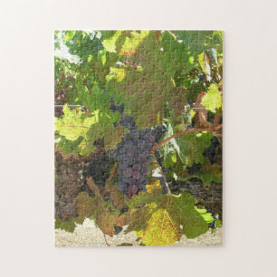 Puzzle - Raisins sur vigne