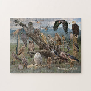 Puzzle Raptor de l'Occident
