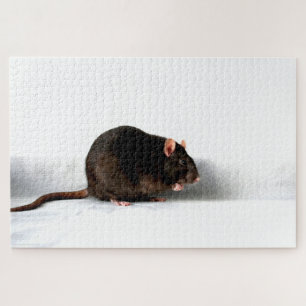 Puzzle Rat 20x30 1014pc jpcn