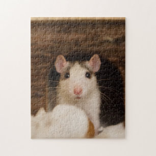 Puzzle Rat mignon