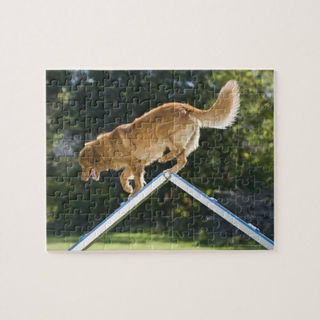Puzzle récupératrice de la nouvelle-écosse pour la pêche  (Horizontal)