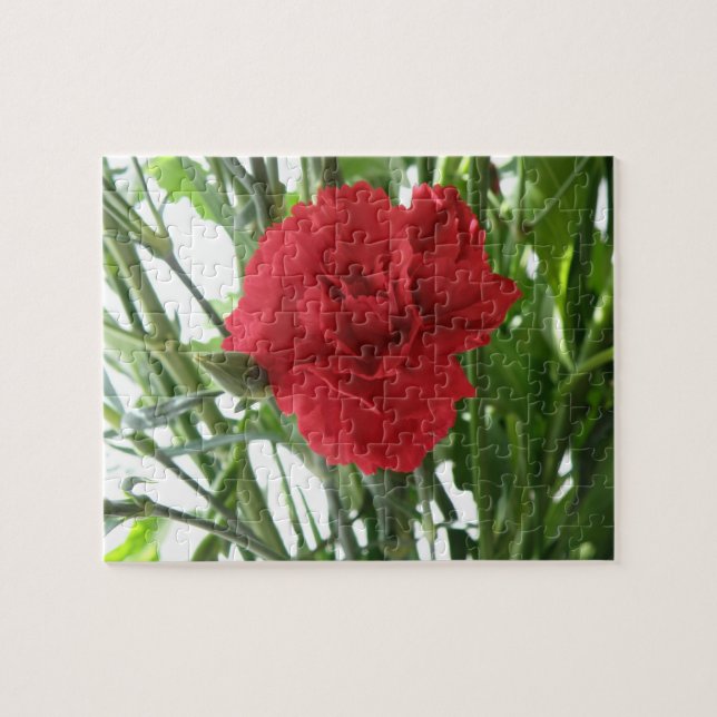 Puzzle Red Carnation (Horizontal)
