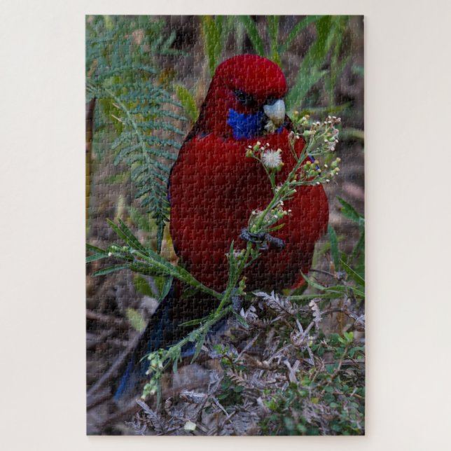 Puzzle Red Crimson Rosella Bird Eating, 1014 pièces (Vertical)