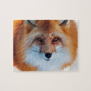 Puzzle Red Fox