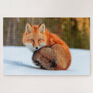 Puzzle Red Fox In Snow Yukon