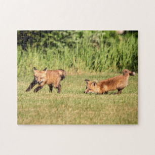 Puzzle Red Fox Kits Jouer