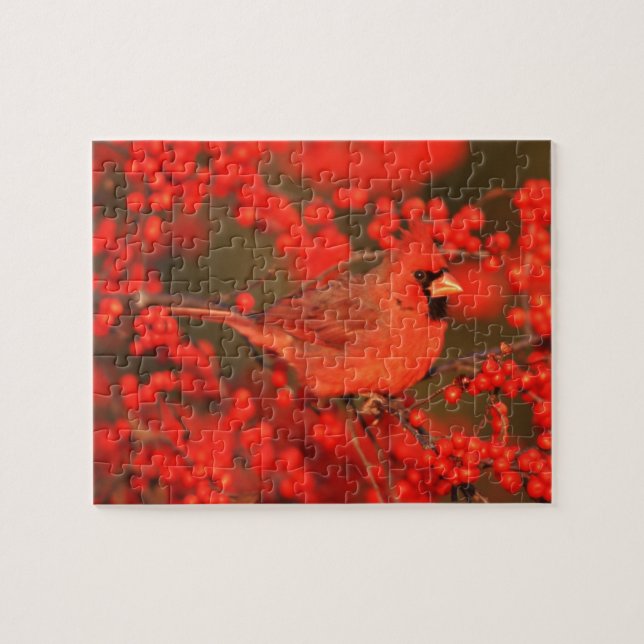 Puzzle Red Northern Cardinal (Horizontal)