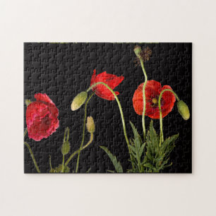 Puzzle Red Poppies