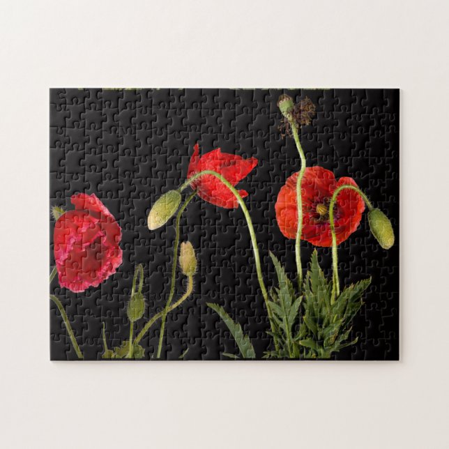 Puzzle Red Poppies (Horizontal)
