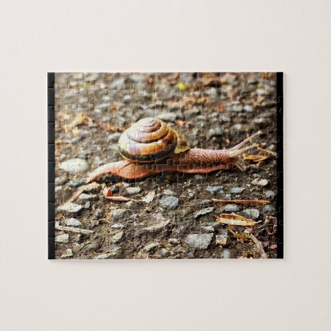 Puzzle Red Snail on the Ground (Horizontal)