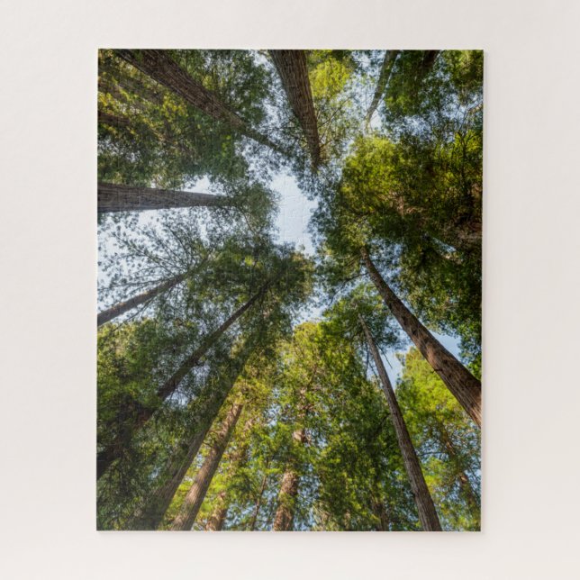 Puzzle Redwood National and State Parks, Californie (Vertical)
