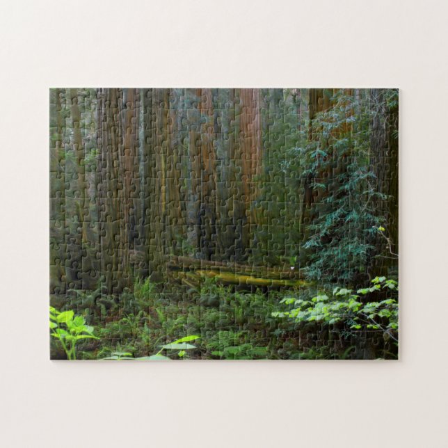 Puzzle Redwoods Dans Le Parc National De Muir Woods (Horizontal)