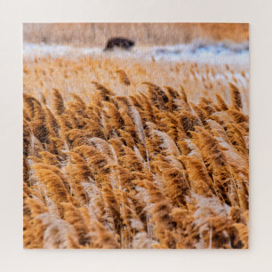 Puzzle Reeds of Antelope Island, Utah - 20x20 - 676 pcs.