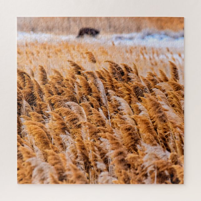 Puzzle Reeds of Antelope Island, Utah - 20x20 - 676 pcs. (Vertical)
