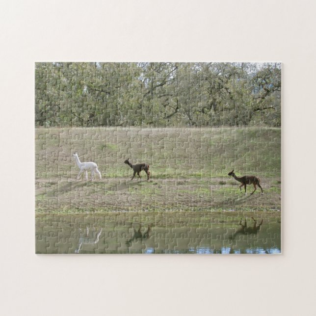 Puzzle - Réflexions d'Alpaca (Horizontal)
