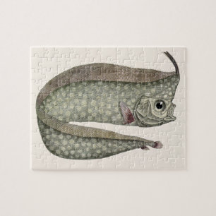 Puzzle Régalec crêté Poisson, Vieille Vie Marine Aquatiqu
