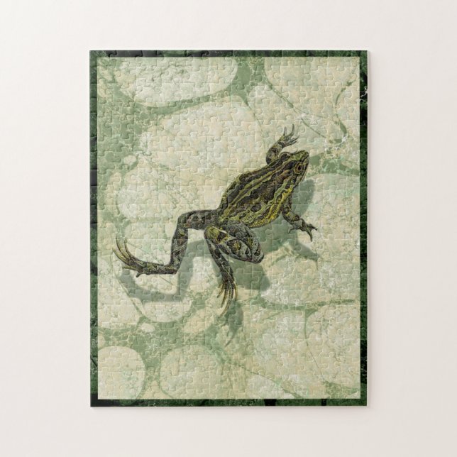 Puzzle Remonter le crapaud dans l'eau (Vertical)