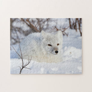 Puzzle Renard arctique en hiver
