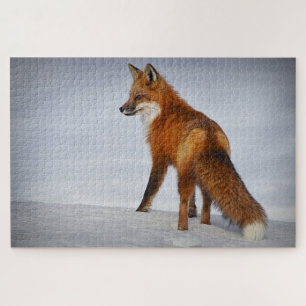 Puzzle Renard Brown marchant sur la neige