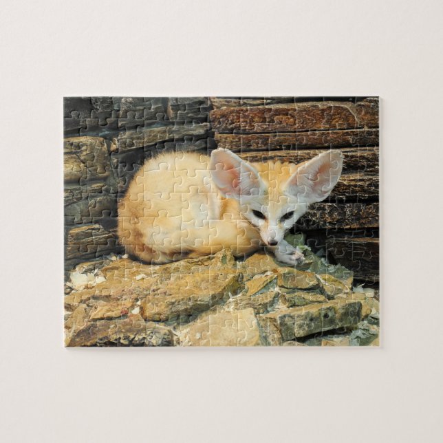 Puzzle Renard mignon de fennec (Horizontal)