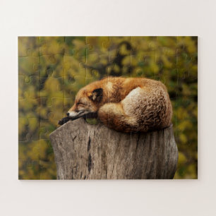 Puzzle Renard mignon dormant Faune