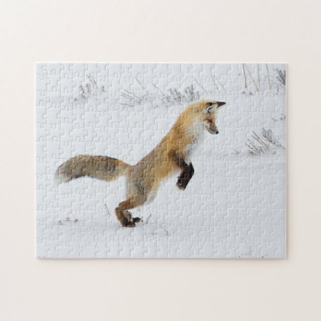 Puzzle Renard rouge saute dans la neige (Horizontal)