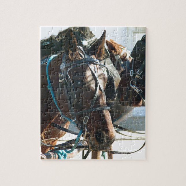 Puzzle Rencontre avec les Chevaux de Buggy Amish (Vertical)