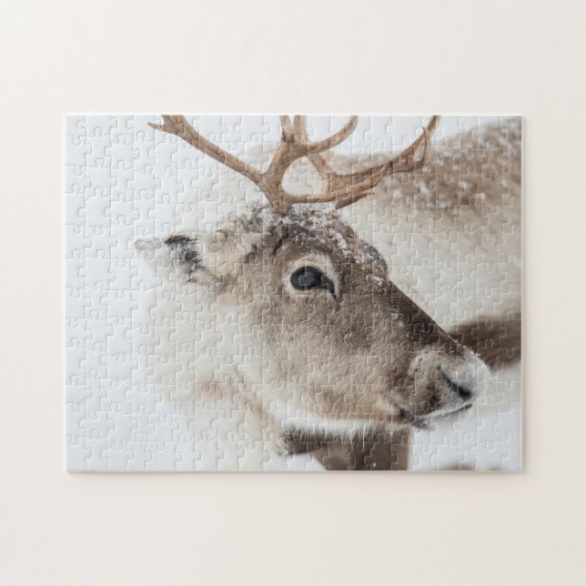 Puzzle Rennes en neige (Horizontal)