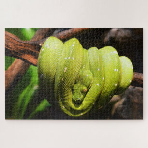 Puzzle Repaire de serpent vert