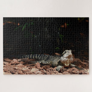 Puzzle Reptile Lizard - Dragon d'Eau Orientale