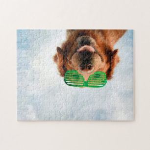 Puzzle Retriever d'or avec lunettes de soleil vertes