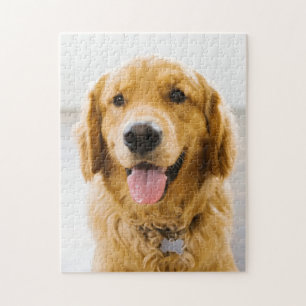 Puzzle Retriever d'or souriant