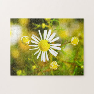 Puzzle Rêve de fleurs jaunes