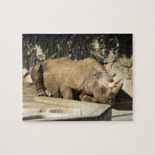 Puzzle Rhino couché