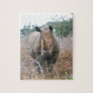 Puzzle Rhinocéros de remplissage