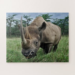 Puzzle Rhinocéros noir Kenya