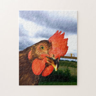 Puzzle Rhode Island Red Rooster