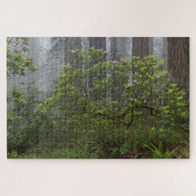 Puzzle Rhododendron dans le parc national Redwood en Cali (Horizontal)