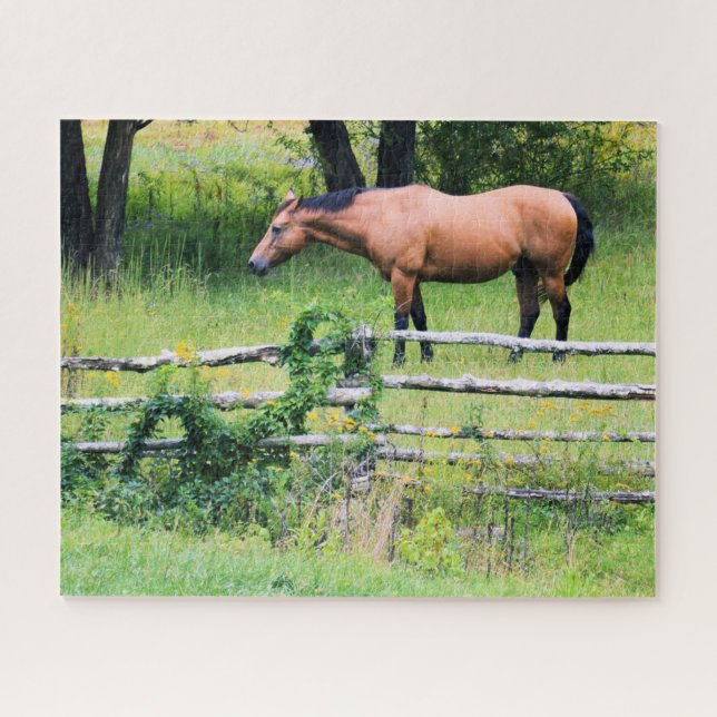 Puzzle Ride More - Inquiète Moins - Horse Ranch - 16x20 (Horizontal)