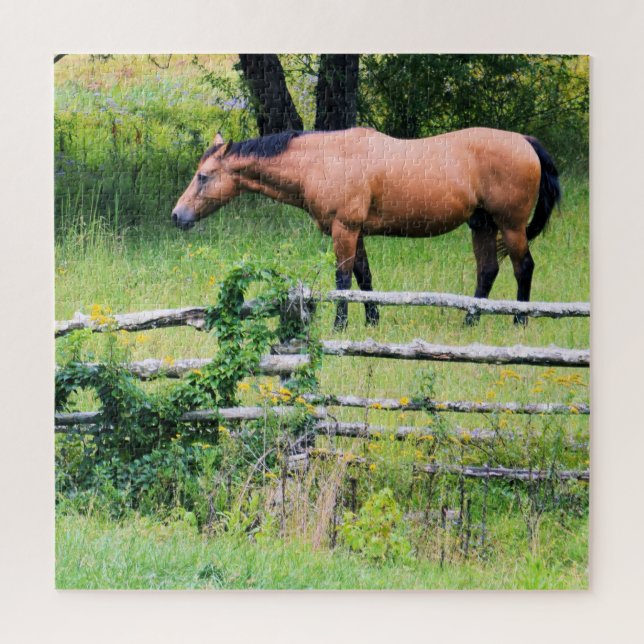 Puzzle Ride More - Inquiète Moins - Horse Ranch - 20x20 (Vertical)