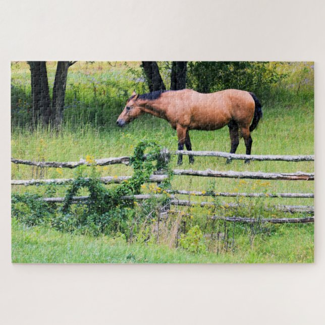 Puzzle Ride More - Inquiète Moins - Horse Ranch - 20x30 (Horizontal)
